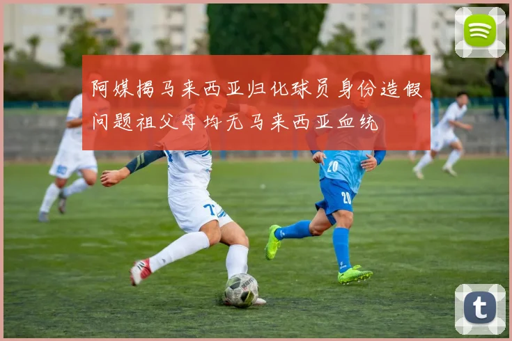 阿媒揭马来西亚归化球员身份造假问题祖父母均无马来西亚血统