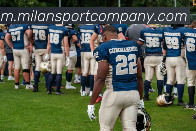 多媒体互动体验